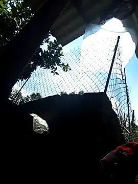 Bibilenu online show from 10.05.25