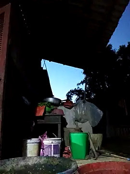 Bibilenu online show from 10.19.25