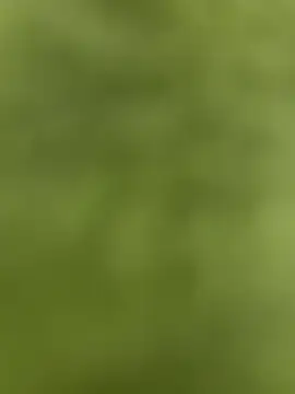 Snapshot of youyou933 chatting on 09.12.25 youyou933 online show from 09.12.25