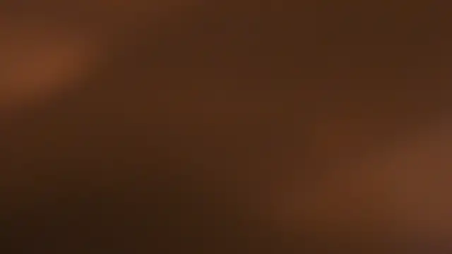 Snapshot of WILD_FIREE_ chatting on 10.12.25 WILD FIREE online show from 10.12.25