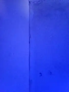 RandalHot online show from 11.23.25