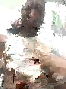 MichellePose online show from 11.19.25