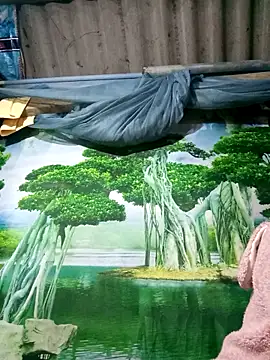 MaiHoa69 online show from 11.15.25