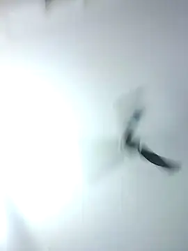 Kehar punjaban online show from 09.28.25