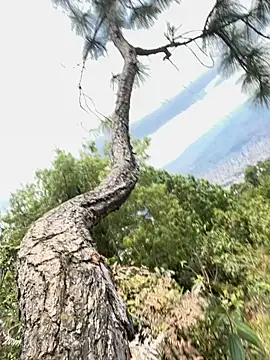 Alexis Spicter online show from 09.16.25