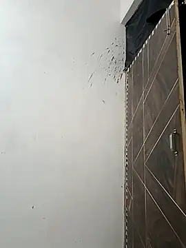 NoxiousFilename online show from 10.05.25