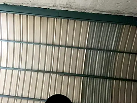 rider239 online show from 10.24.25