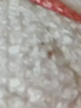 Markroco696 online show from 11.15.25