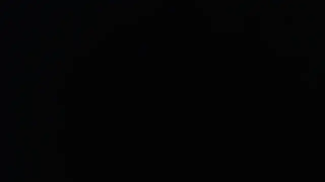 knodli online show from 11.18.25