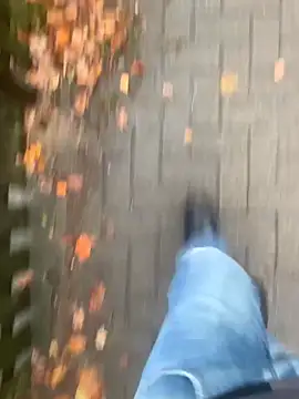 GeilerHSVFAN1989 online show from 11.14.25