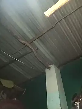 Snapshot of Hot-honi chatting on 09.19.25 Hot-honi online show from 09.19.25