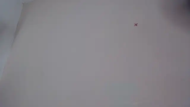 akisha lims26 online show from 10.04.25