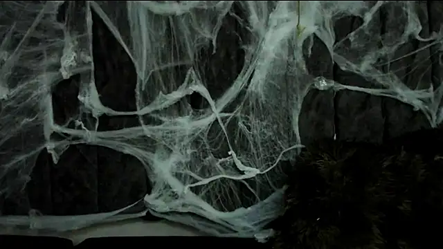 Snapshot of Rowan_Mills chatting on 10.10.25 Rowan Mills online show from 10.10.25