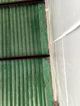 Snapshot of Isabella-2709 chatting on 10.25.25 Isabella-2709 online show from 10.25.25