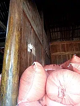 Snapshot of hera-00 chatting on 09.20.25 hera-00 online show from 09.20.25