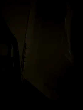 Snapshot of dogslavehf chatting on 10.19.25 dogslavehf online show from 10.19.25