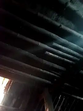 kihi-yo online show from 11.10.25