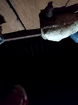 callistra online show from 12.02.25