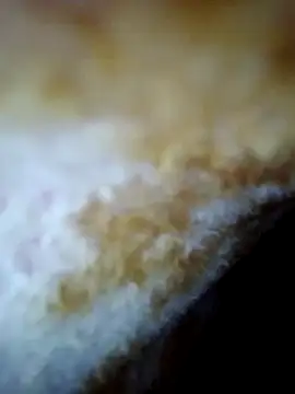 alone boy802 online show from 10.30.25