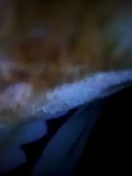 alone boy802 online show from 11.05.25