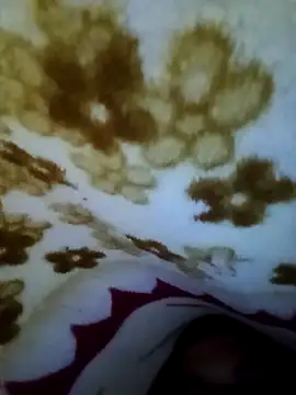 alone boy802 online show from 11.08.25