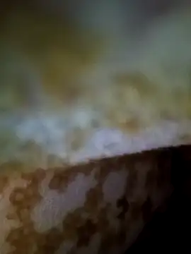 alone boy802 online show from 11.09.25