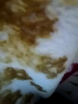 alone boy802 online show from 11.09.25