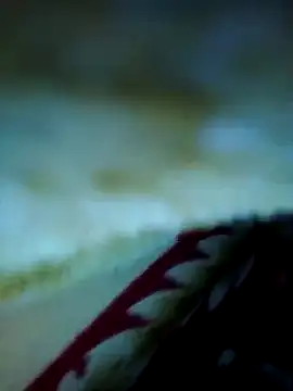 alone boy802 online show from 11.13.25