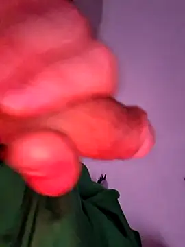 Snapshot of Nikbullx chatting on 10.27.25 Nikbullx online show from 10.27.25