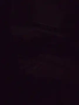 Snapshot of ibusserd chatting on 11.22.25 ibusserd online show from 11.22.25