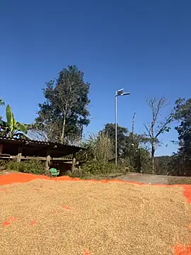 miemie-xx online show from 11.26.25