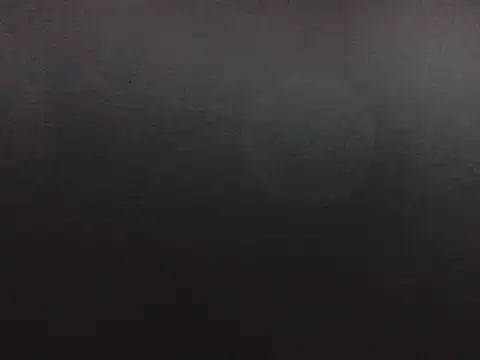 puppy2s online show from 10.16.25