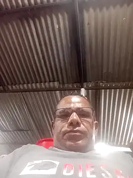 livesin online show from 11.08.25