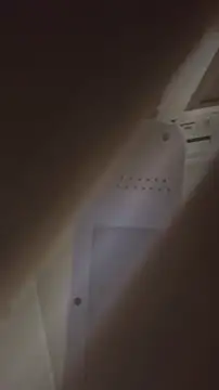 Snapshot of bunnydam chatting on 11.06.25 bunnydam online show from 11.06.25