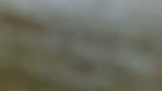 Axel Stones  online show from 11.21.25