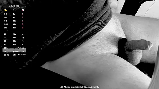 Snapshot of Mister_Majestic chatting on 11.19.25 Mister Majestic online show from 11.19.25