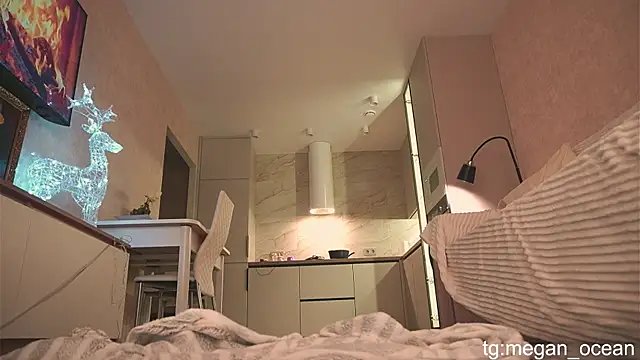 Megan galactica online show from 11.30.25