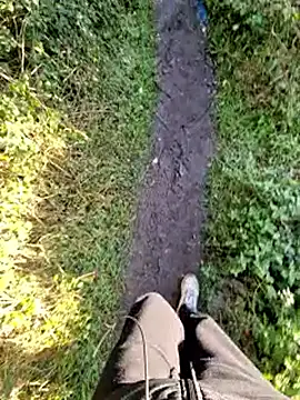 bbyxklaus online show from 11.26.25