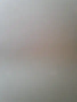 Snapshot of Petrysorboss chatting on 10.20.25 Petrysorboss online show from 10.20.25