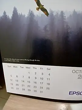 Snapshot of Kolkatacock06 chatting on 10.24.25 Kolkatacock06 online show from 10.24.25