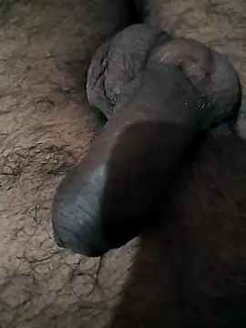 Snapshot of desicoupleNoon chatting on 11.02.25 desicoupleNoon online show from 11.02.25