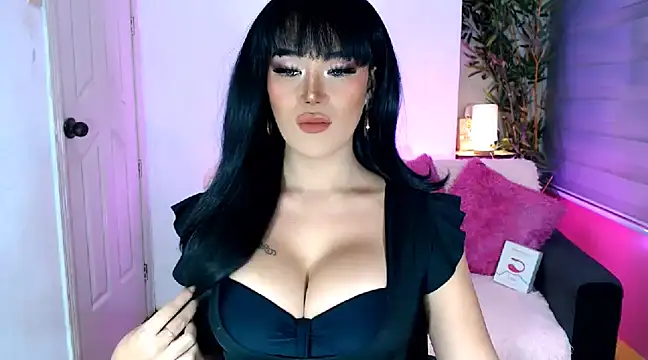 transSTARprincess online show from 12.04.24