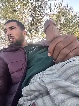 Snapshot of Realverse chatting on 11.01.25 Realverse online show from 11.01.25