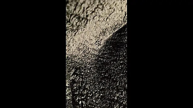 Snapshot of thewarmbear chatting on 11.03.25 thewarmbear online show from 11.03.25