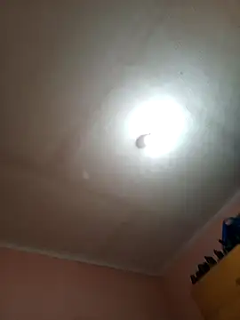 ey66gfdwwt online show from 11.15.25