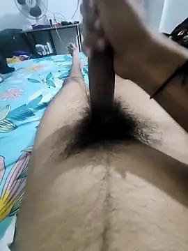 Snapshot of Noxvorlen chatting on 11.14.25 Noxvorlen online show from 11.14.25