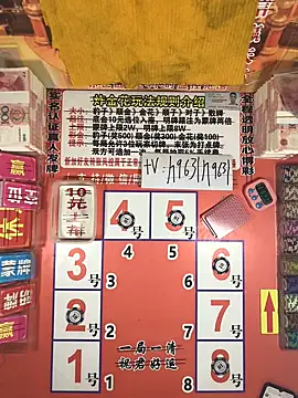 Snapshot of z1366 chatting on 11.12.25 z1366 online show from 11.12.25