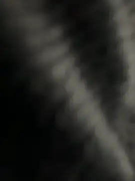 kangro 80 online show from 12.01.25