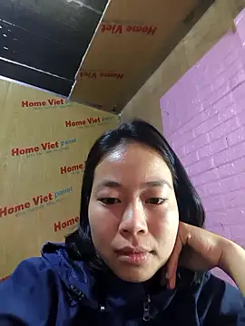 Cat-meow online show from 11.17.25