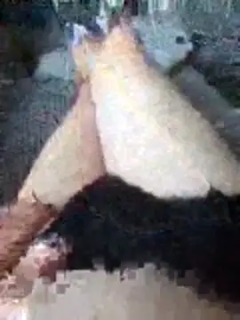 Snapshot of boo202179 chatting on 11.21.25 boo202179 online show from 11.21.25